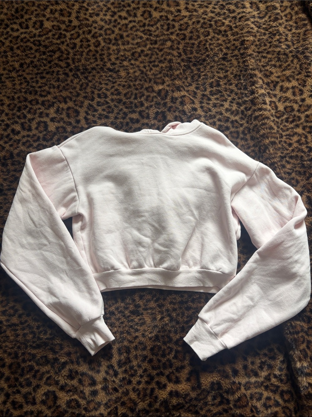 Skims hoodie